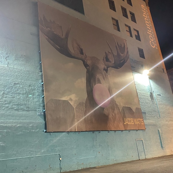 Meet your Posher, Janeesha - Picture 1 of 1